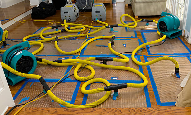 Professional Water Damage Restoration technician working in Middletown, CT